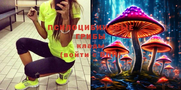 ГАЛЛЮЦИНОГЕННЫЕ ГРИБЫ Арсеньев