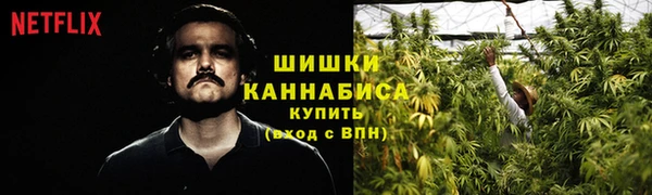 ГАЛЛЮЦИНОГЕННЫЕ ГРИБЫ Арсеньев