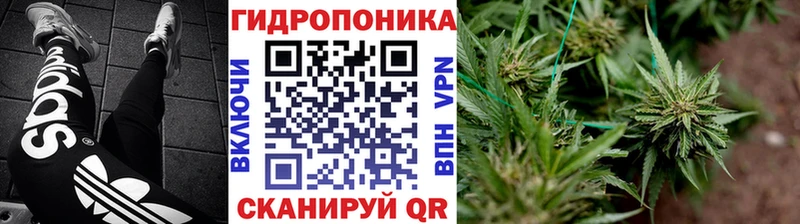 Шишки марихуана Bruce Banner  площадка официальный сайт  Ельня 